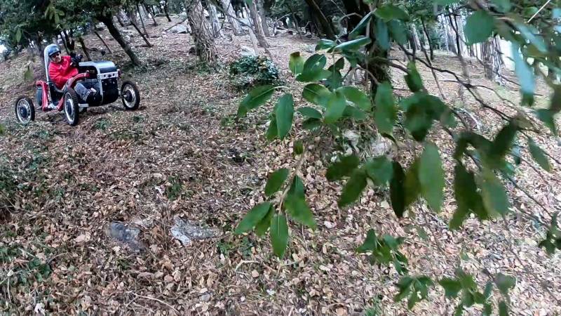 Respirar el olor del bosque con manejo intuitivo