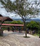 Visita guiada privada del caballo Paso Fino Colombiano. Cerca de Bogotá. Criadero Lusitania