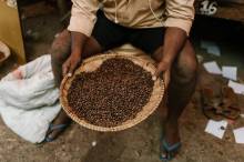 Excursión temática del café en Hacienda Coloma en Fusagasugá desde Bogotá Transfers & Tours